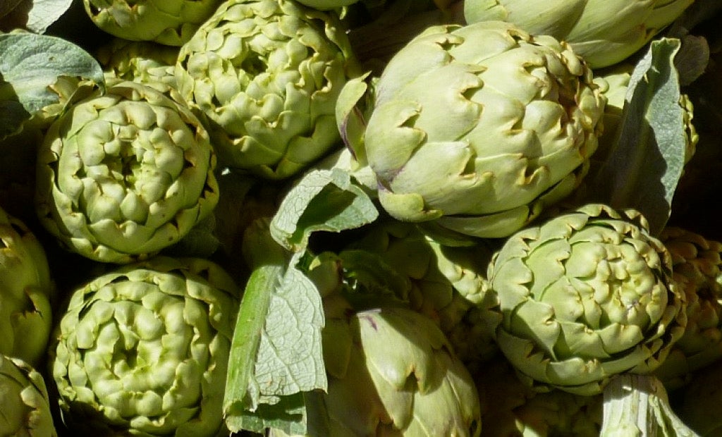 Carxofes del Delta de l'Ebre | santjaumeturisme.cat