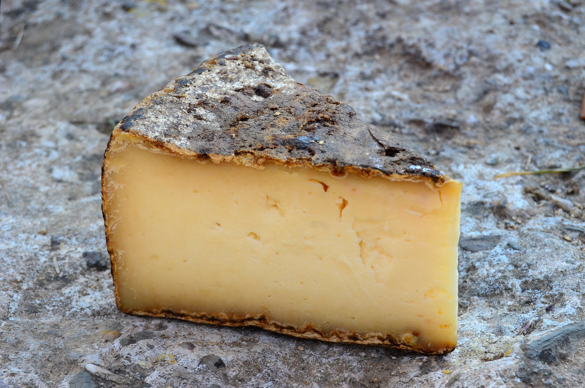 Formatge L’Avenc de Mas Rovira, madurat en cova natural Formatge L’Avenc de Mas Rovira, madurat en cova natural