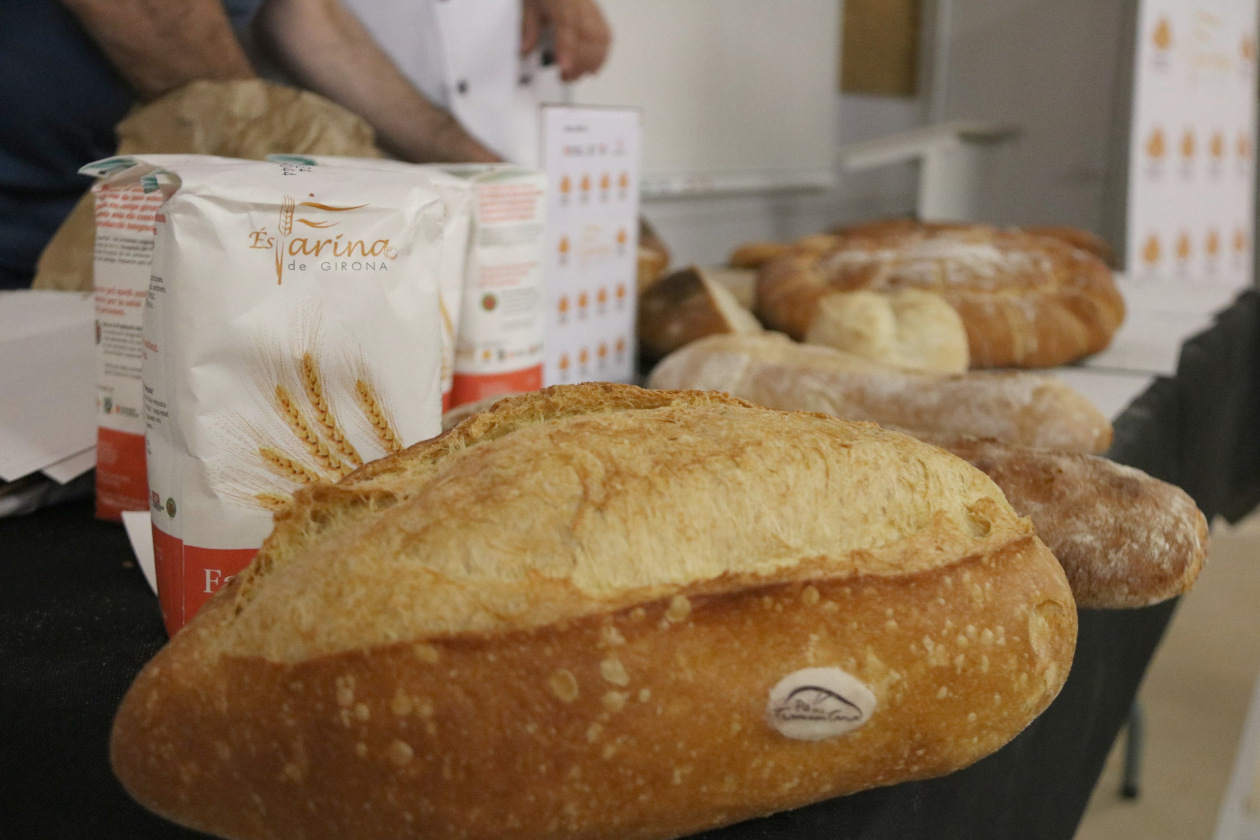 Un pa de tramuntana elaborat amb farina de Girona | ACN