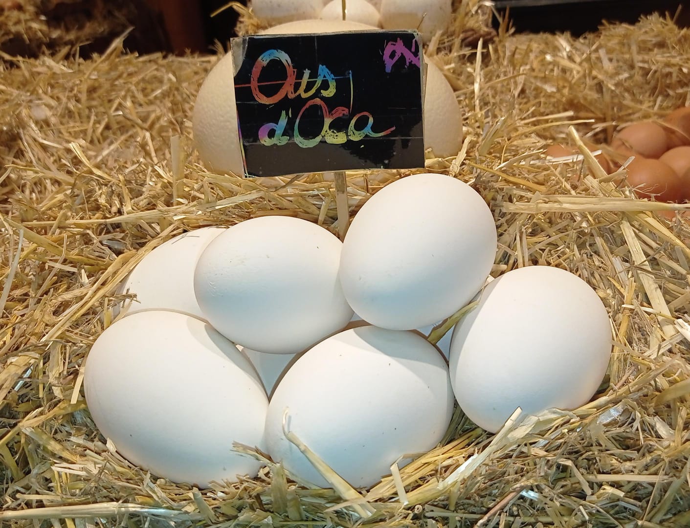 Ous d'oca a la venda | Ous de Calaf