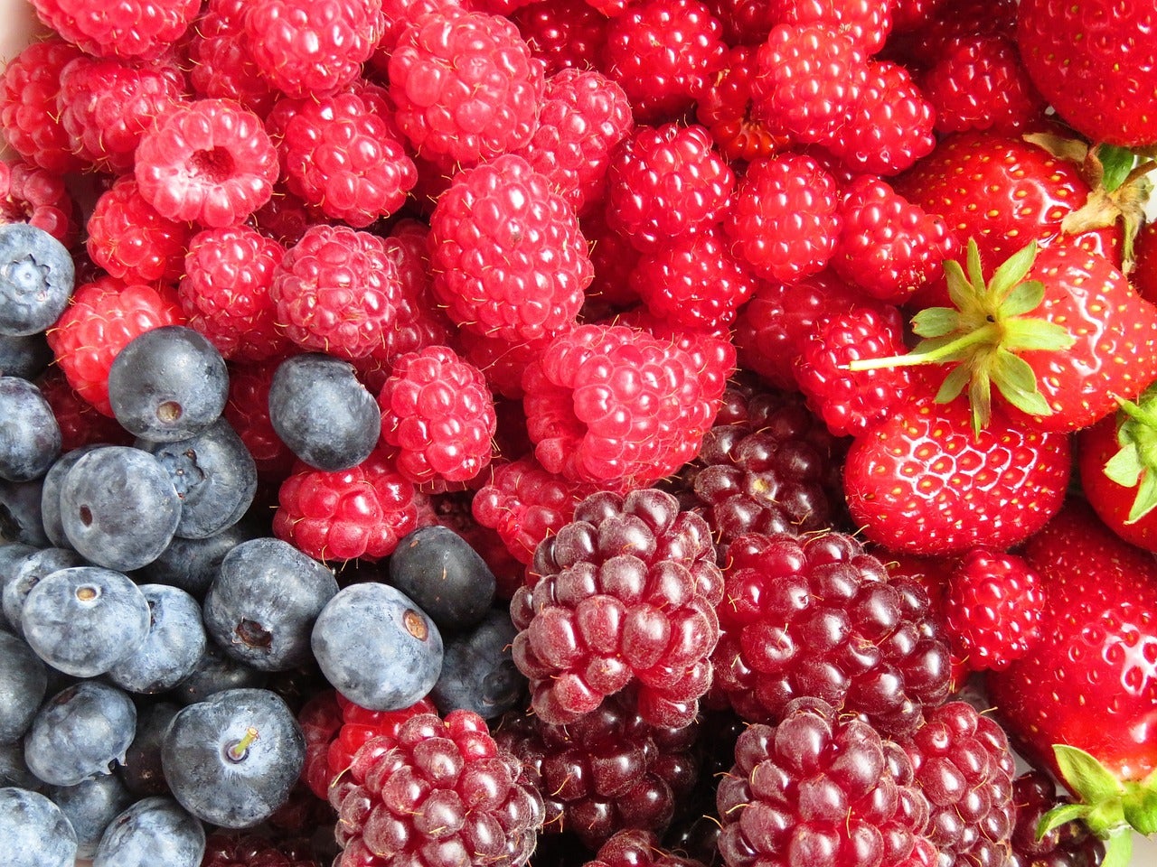 Diferents fruits del bosc | Pixabay