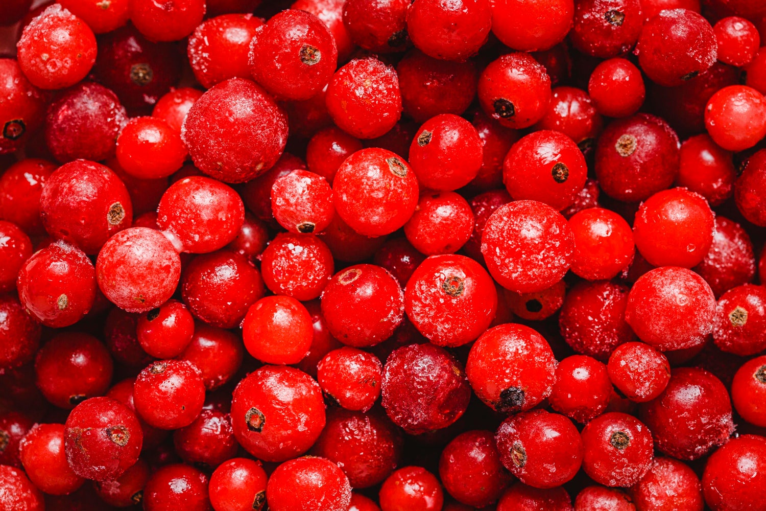 Grataculs | Freepik