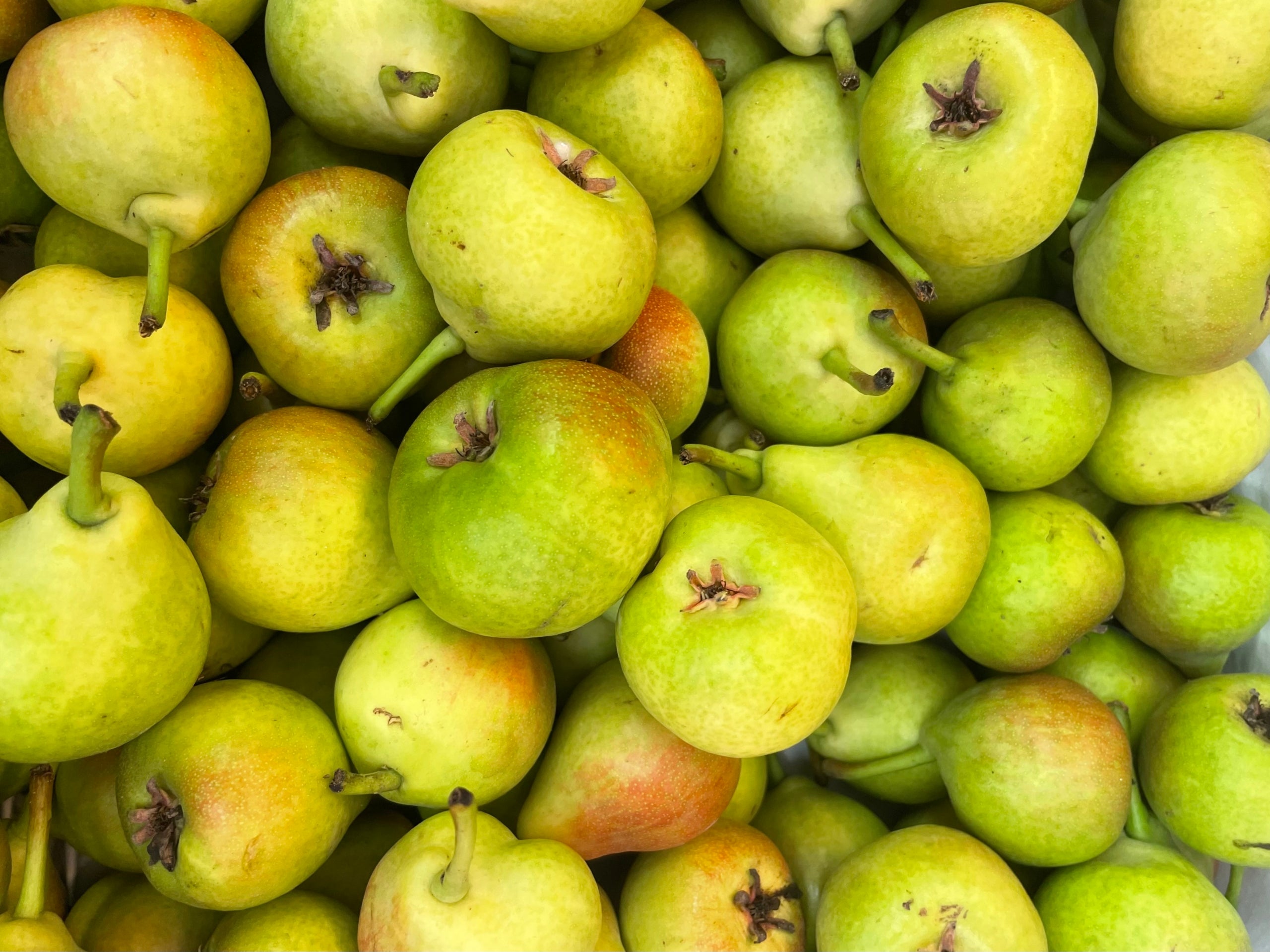 Peres de Sant Joan exposades al mercat de Sant Andreu, a la plaça del Mercadal | Pau Llosa
