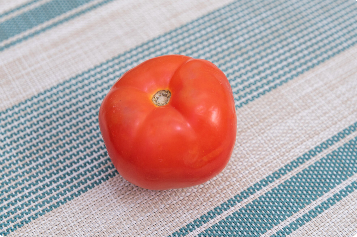 Tomàquet | Freepik