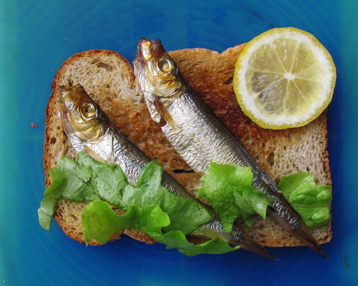 Sardines amb pa | Pxhere