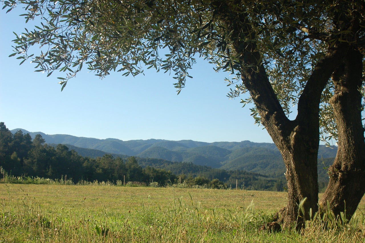 La finca del Salar d’Arbúcies, a l’entorn natural del Montseny