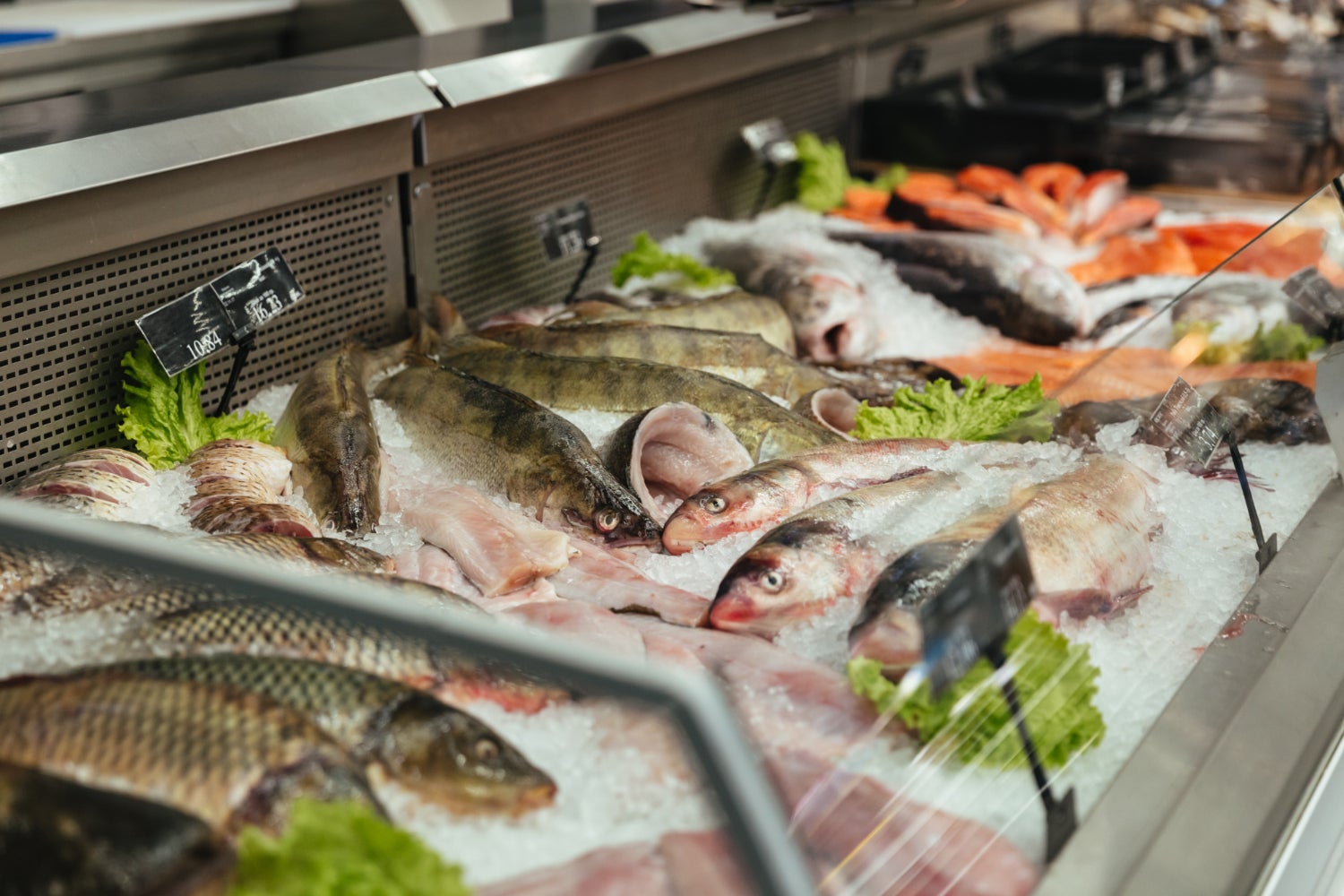 Peixos en una peixateria | Freepik