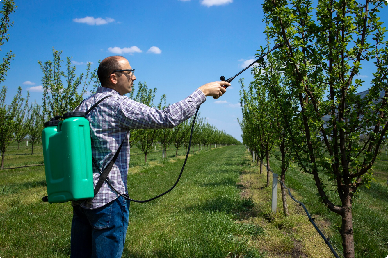 Un home tractant pomers amb pesticides | Freepik