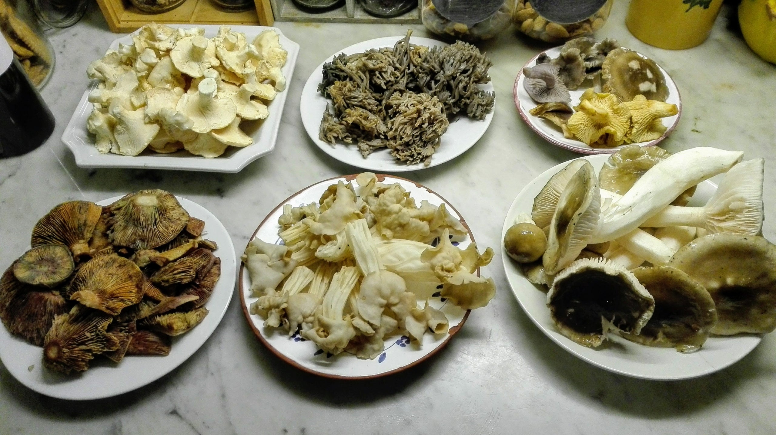 Diferents tipus de bolets | Pep Pelfort